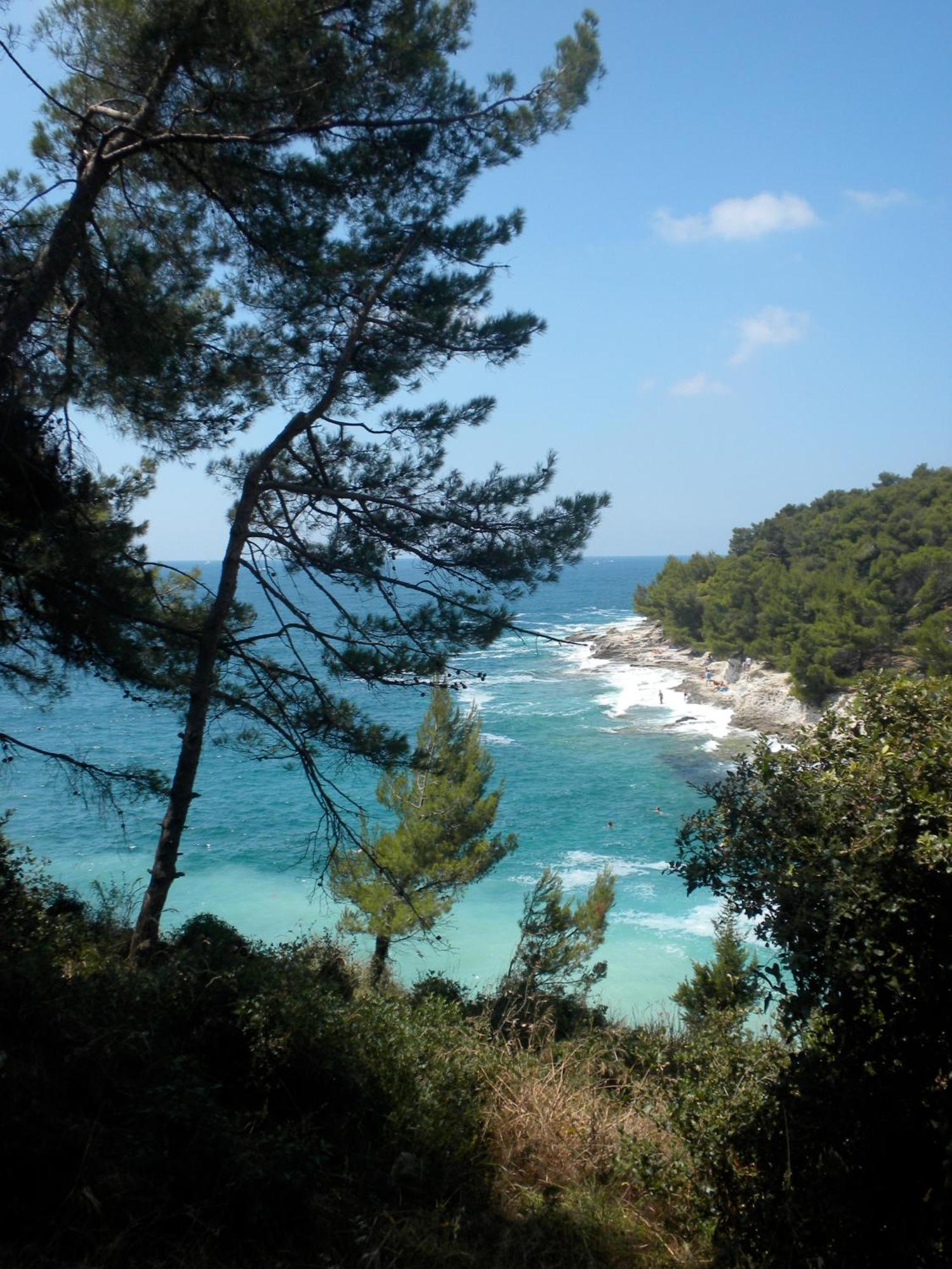 Amfora Deluxe Studio Πούλα Εξωτερικό φωτογραφία
