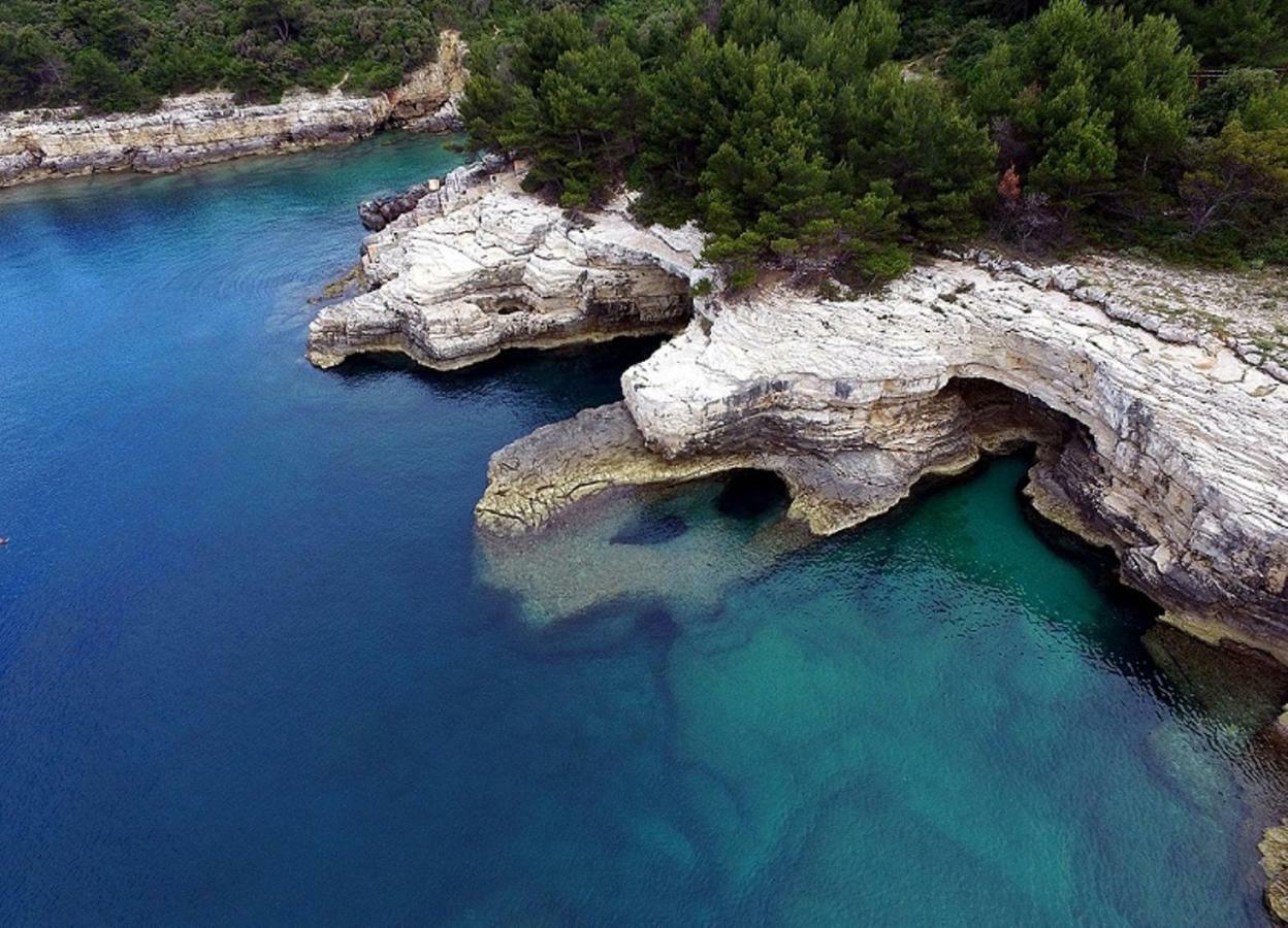 Amfora Deluxe Studio Πούλα Εξωτερικό φωτογραφία